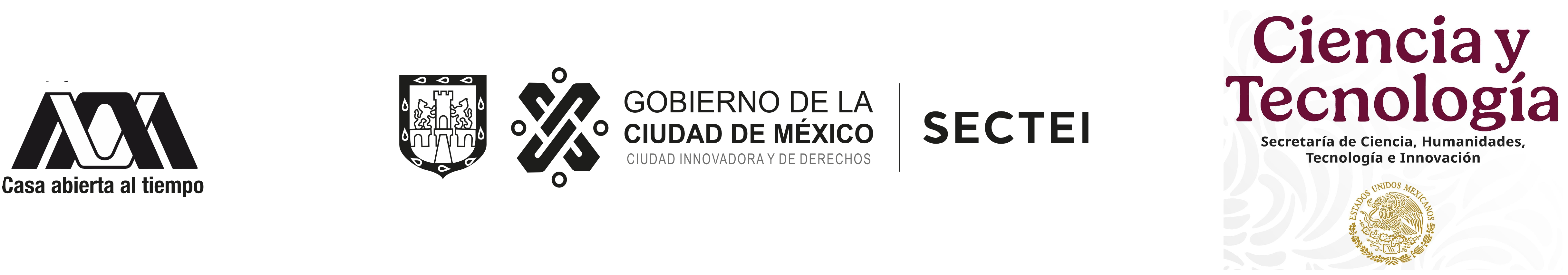 Segunda imagen